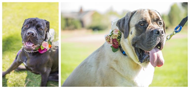 Broken Top Club Wedding // Lauren And Melissa Get Hitched // Bend Oregon // Stevi Sayler Photography