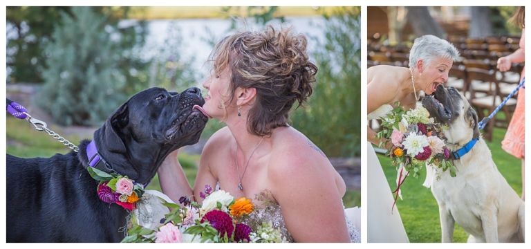 Broken Top Club Wedding // Lauren And Melissa Get Hitched // Bend Oregon // Stevi Sayler Photography