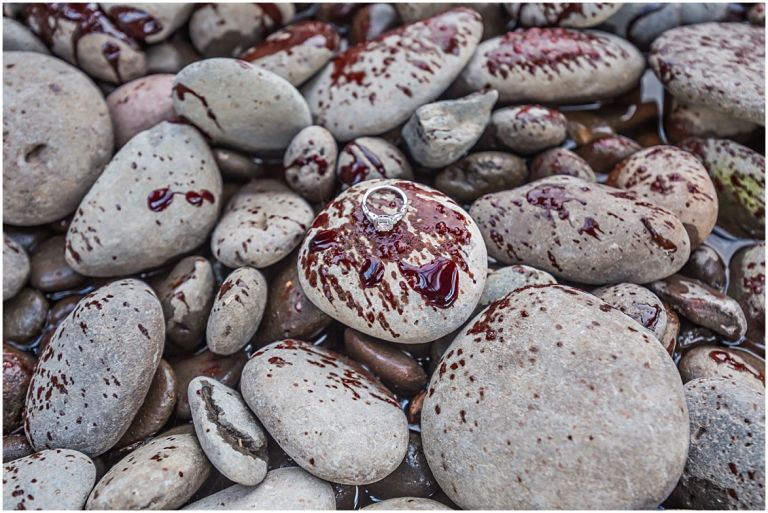 Zombie Apocalypse // Eugene Oregon Halloween Photoshoot // Engagement Photography // Mckenzie River // Stevi Sayler Photography