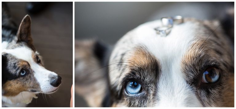 Vancouver Washington Wedding // Grant House // Shannon & Steve // Stevi Sayler Photography