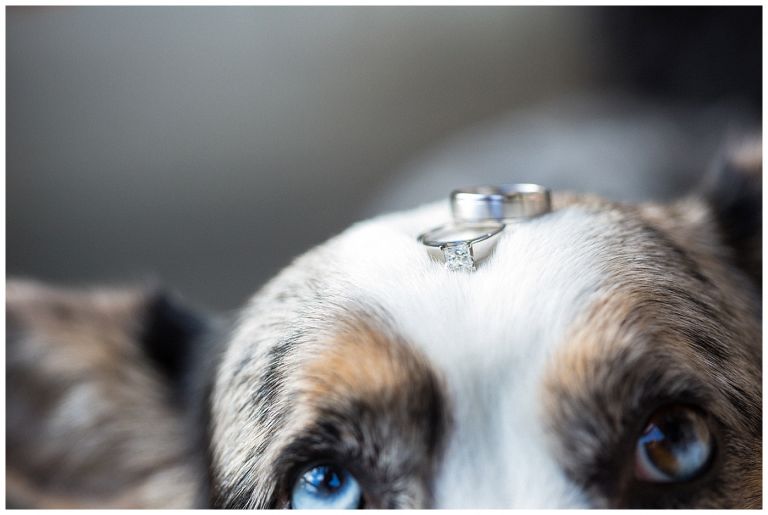 Vancouver Washington Wedding // Grant House // Shannon & Steve // Stevi Sayler Photography