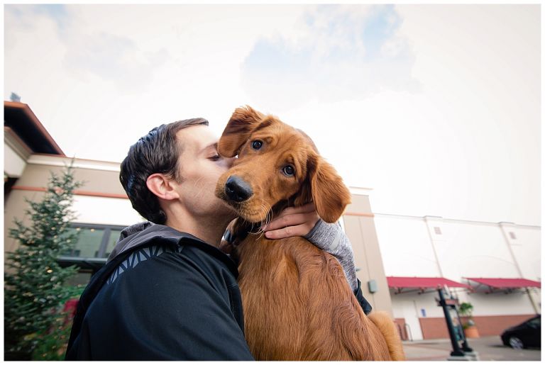 Eugene Oregon Pet Photography // Happy The Golden Pup // Oakway Center // Stevi Sayler Photography