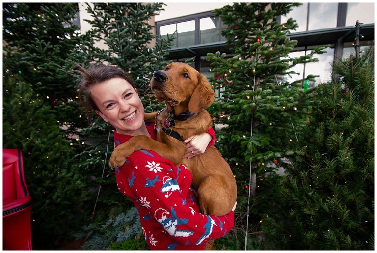 Eugene Oregon Pet Photography // Happy The Golden Pup // Oakway Center // Stevi Sayler Photography